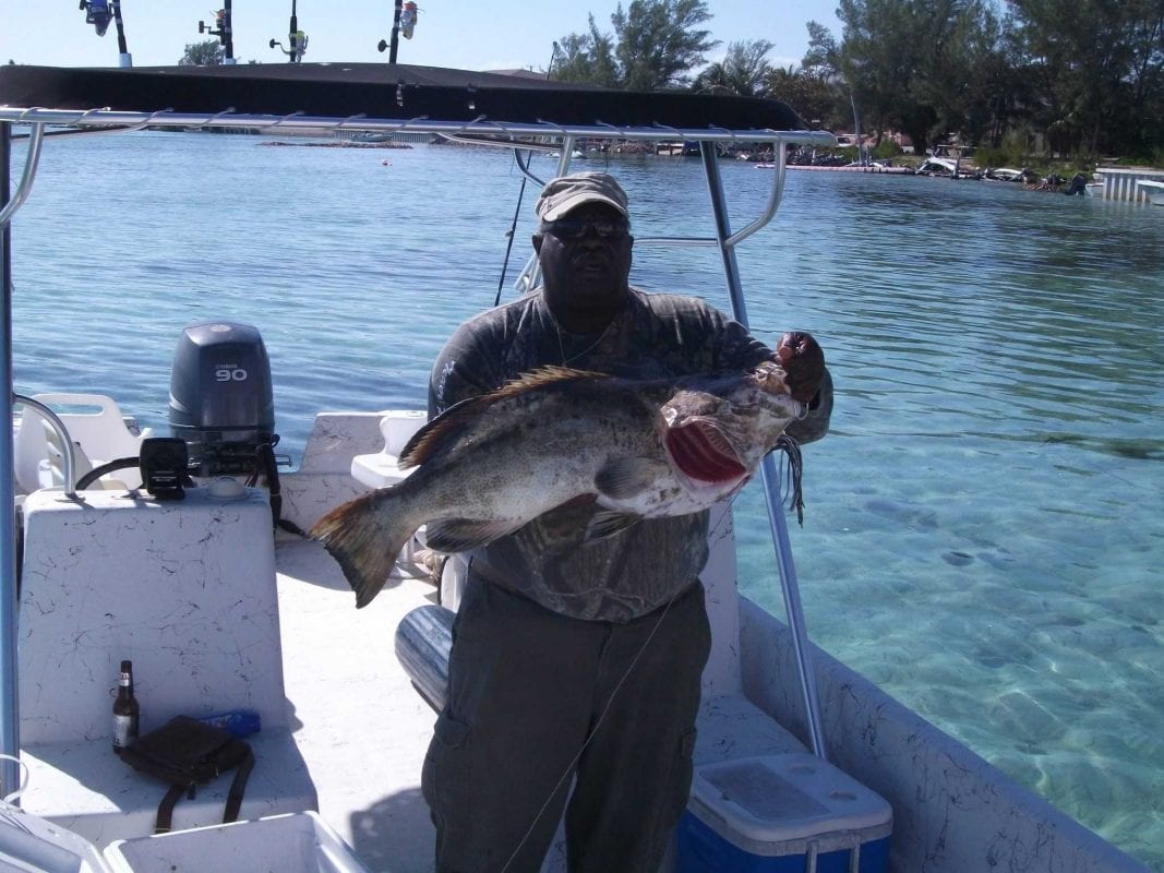 Bimini, Bahamas Fishing Report Bimini, Bahamas Fishing Report