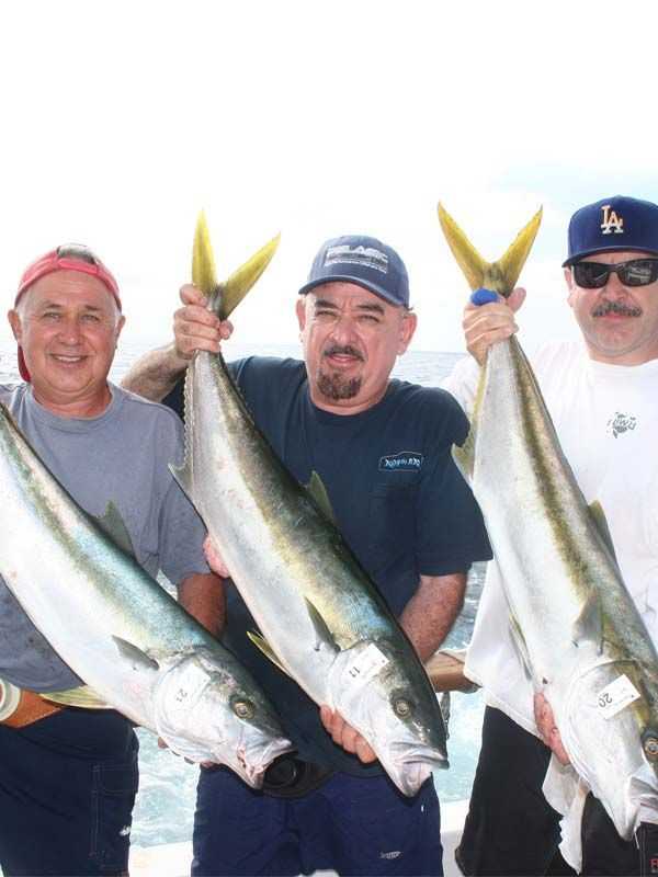 L to R; Darell Chapman, Al Hernandez, and Eddie Hernandez show off a trio of nice yellowtail caught during the Penn trip aboard the Searcher out of Fishermans Landing in San Diego. 
