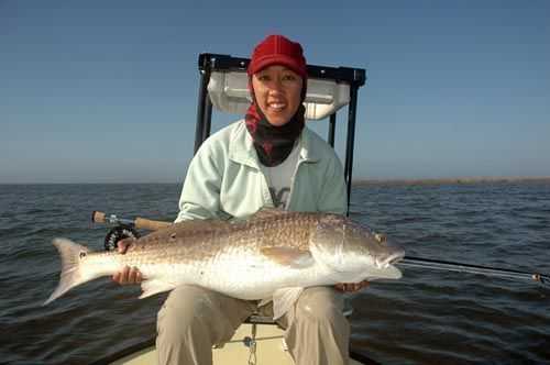 Winter Skinny-Water Redfish – Georgia Outdoor News