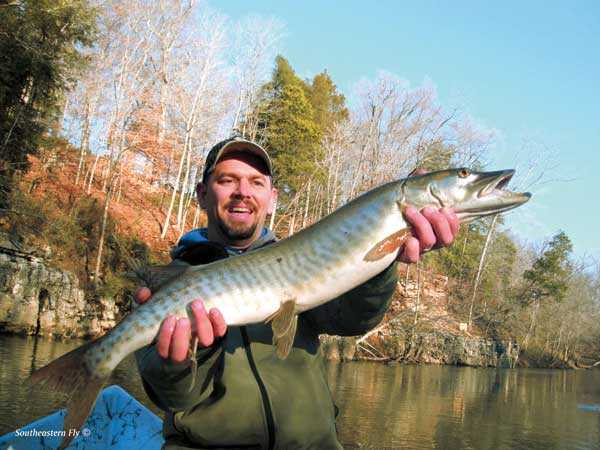 45-Minute Muskie - Fly Fisherman