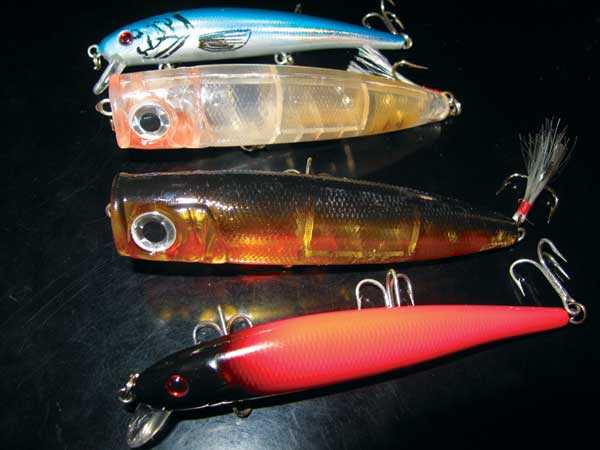 Estuaries-Driving-Lures-and-Poppers