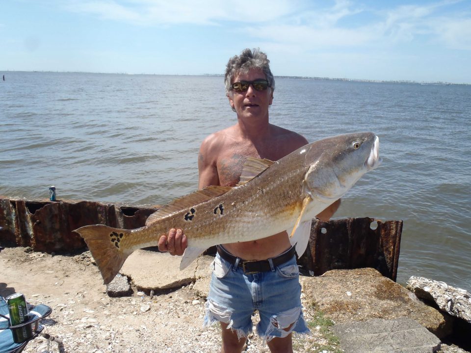 Red Fish Delight!!! Coastal Angler & The Angler Magazine