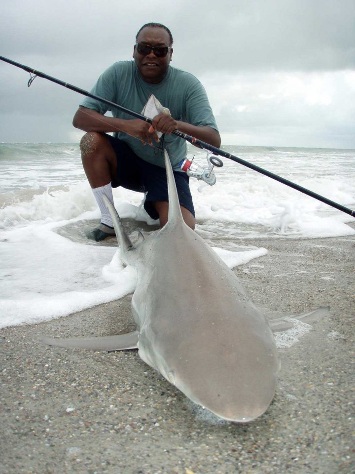 Monsters on the Beach: What Ever Angler Needs to Know to Land a Shark in  the Surf - Coastal Angler & The Angler Magazine