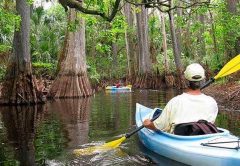 Loxahatachee River–Florida’s first federally designated “Wild and Scenic River”