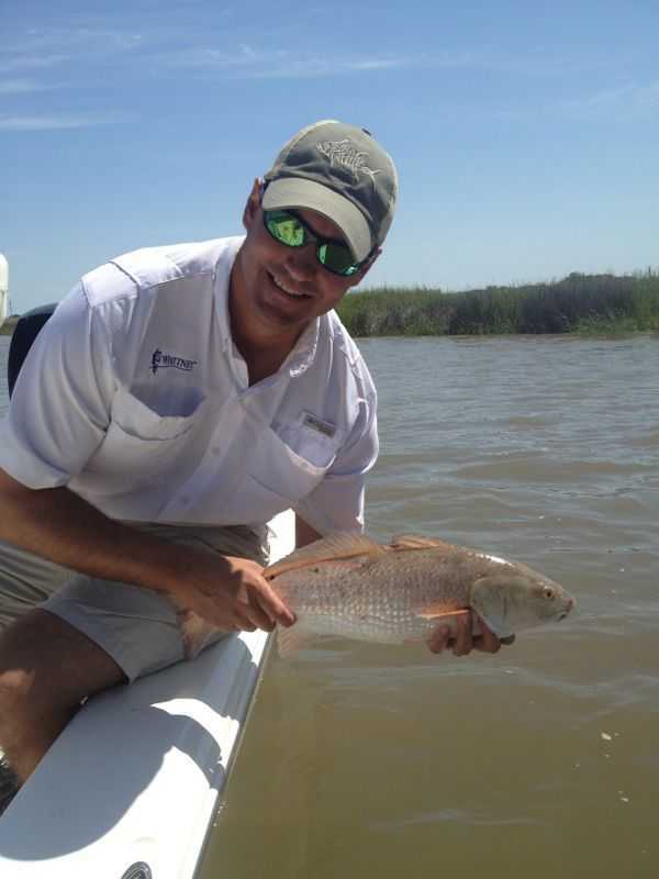 Fifty (50) tagged redfish like this one are swimming off the coast. Sign up for STAR, be the first to catch one of these tagged redfish and you will win a 2013 Chevy Silverado, brought to you by the Super Chevy Dealers. Visit CCASTAR.com for more information.
