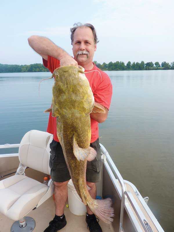 Postspawn and Giant Catfish It’s All About The Bait Coastal Angler