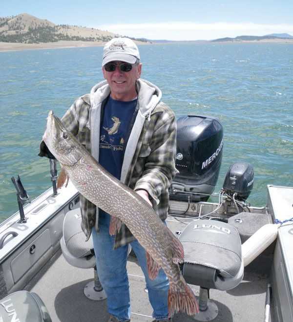 A monster Pike from Eleven Mile Reservoir.