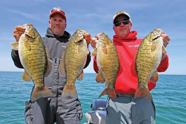 Ryan Coleman (left) and Glen Hamer (right) hold a few nice Erie smallmouth.