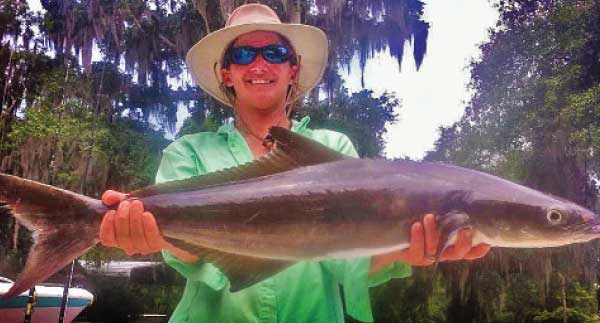  Capt. Brittany - Caught July 7, 2013Inshore cobia caught near dog island reef with a free lined pin fish on 20lb test and a Shimano 4000.