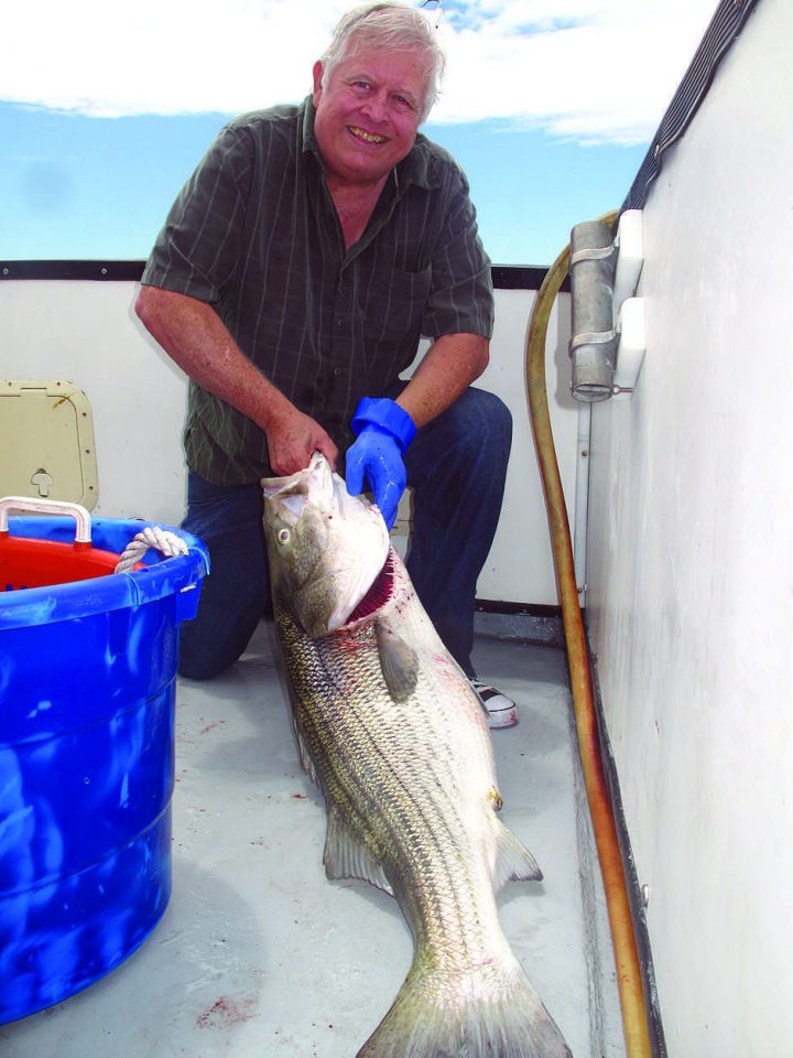 Long Beach Island Fish Report Long Beach Island Fish Report