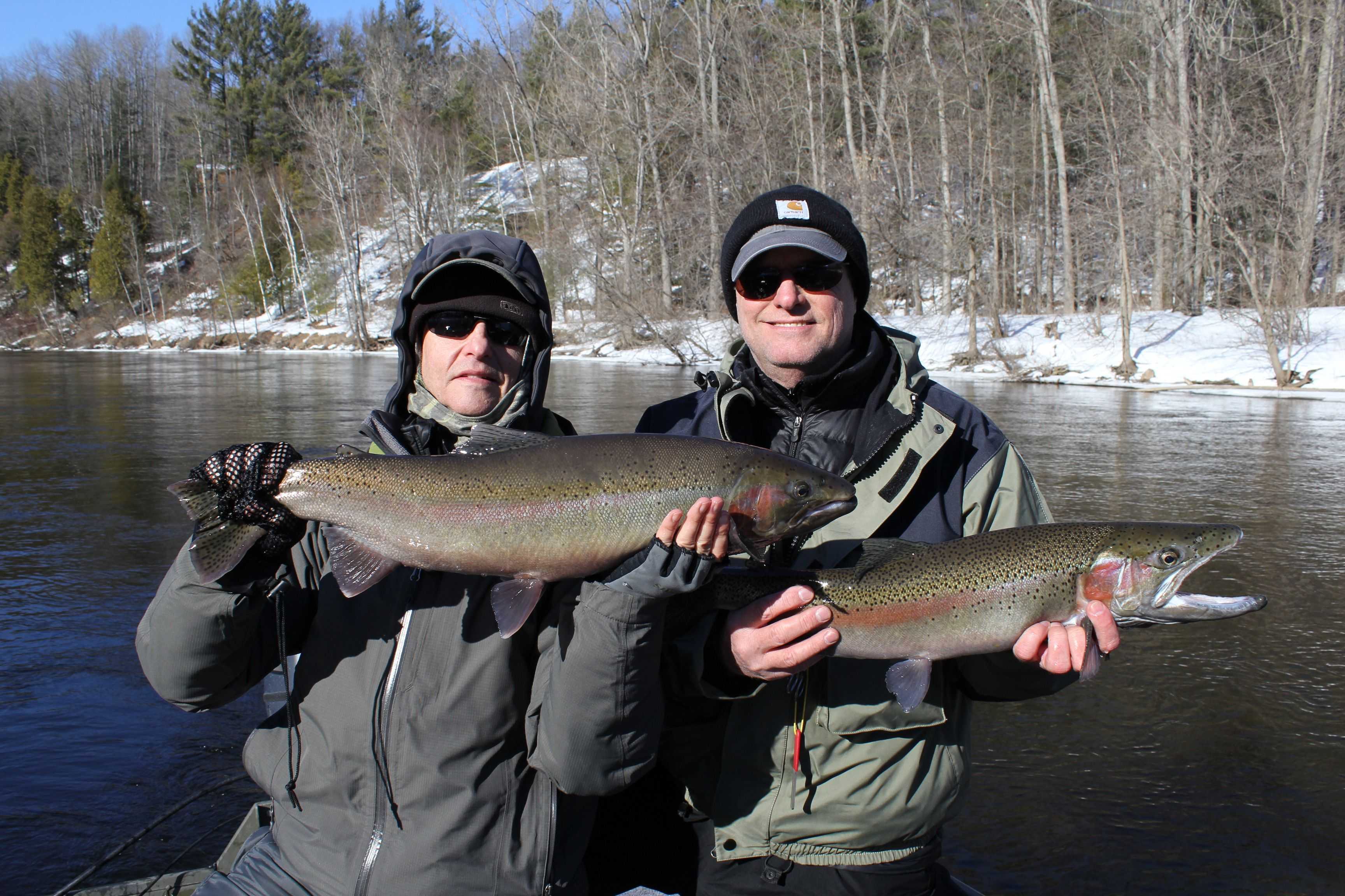 Fish Focus: Fluke Futures Hang In The Balance - Coastal Angler & The ...