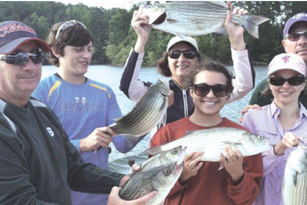 Lake Nottely Striper Fishing Report Oct 2013 Coastal