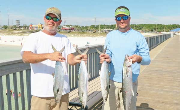 Panama City Beach Pier Fishing Report: Nov. 2013 | Coastal Angler & The Angler Magazine