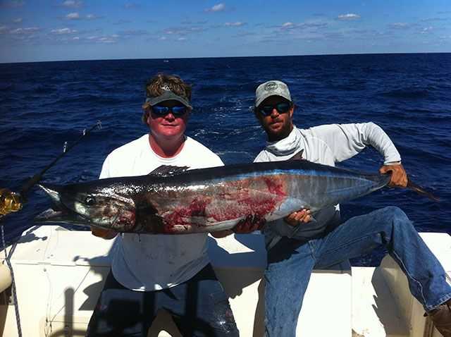 Abaco Offshore Fishing Report and Forecast - November 2013