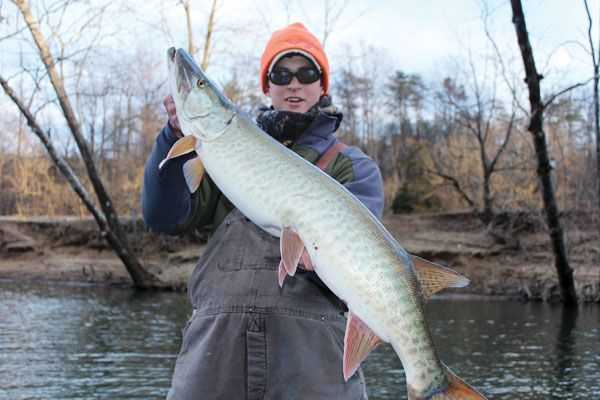 Author Britt Stoudenmire with a nice winter James River musky.