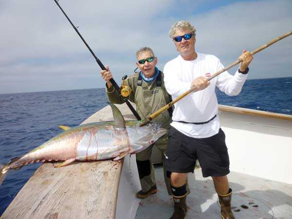 Captain Art Taylor of the Searcher R gaffs anther beautiful yellowfin tuna for Anthony Roginsky of Winnetka who was field testing the new Penn Torque 2 speed TRQ30LD2 reel.
