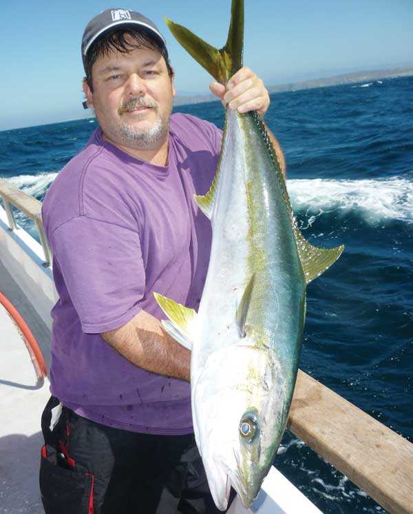 Howard Folmer of Gardena shows off a typical yellowtail caught near Cedros Island aboard the Searcher during the Penn trip.