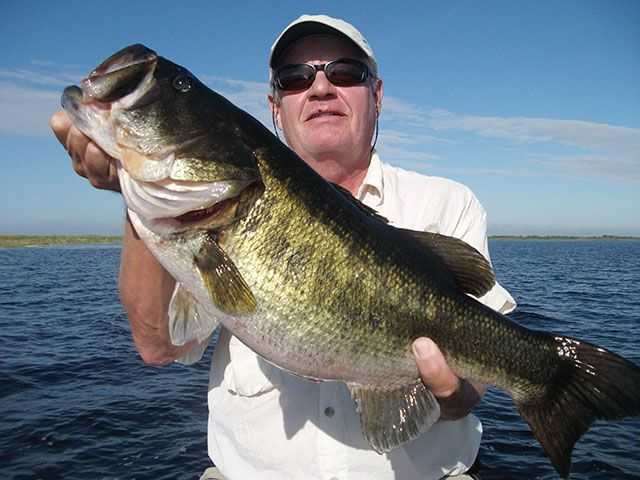 Ed Vanstedum from Bradenton caught this big bass in October on a golden shiner. PHOTO CREDIT: Capt. Mike Shellen.