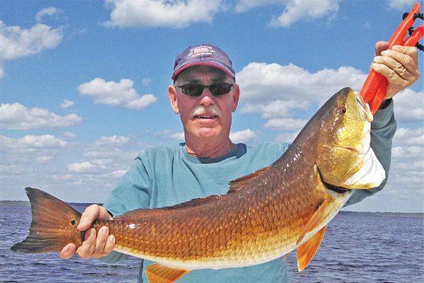 Charlie McLeod finds a surprise on the last cast of his trout trip, a huge over slot red!