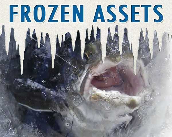 frozen-assets