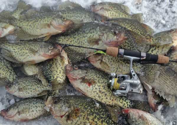 ludington-ice-fishing