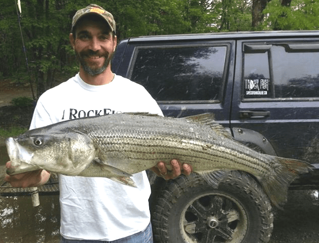 (03) COTM 3 Nelson Figueiredo from Middleboro, with a Cape Cod Canal 39 inch Striper