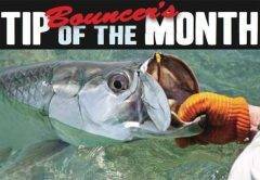 winter tarpon fishing