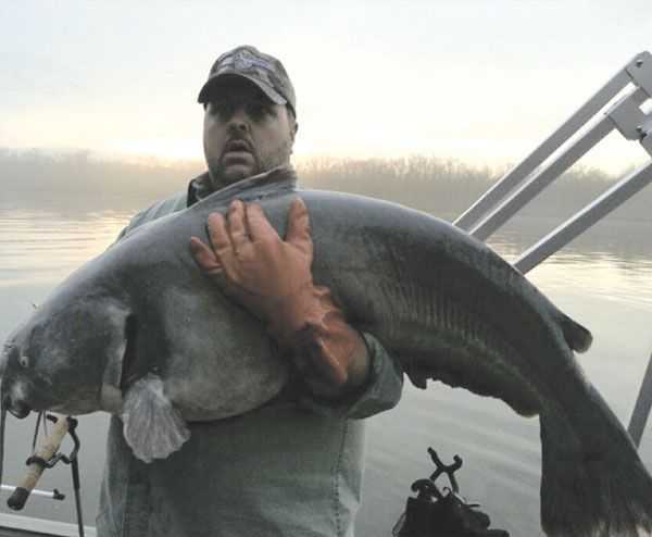 In Search of Trophy Catfish on the James River - Coastal Angler