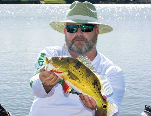 Peacock Bass: Florida's Best Kept Secret - Coastal Angler & The Angler  Magazine