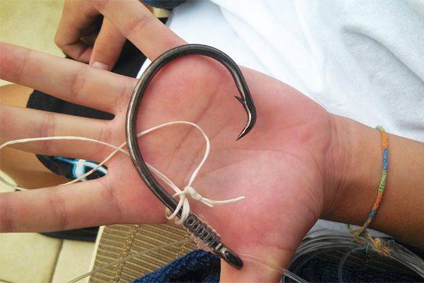 Let's Talk About Hooks: There's More Than Meets the Eye - Coastal Angler &  The Angler Magazine