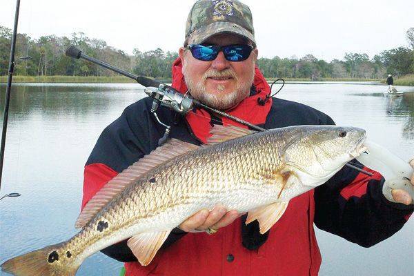 Capt. Steve shows off a great example of a winter redfish!