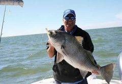 blackdrum