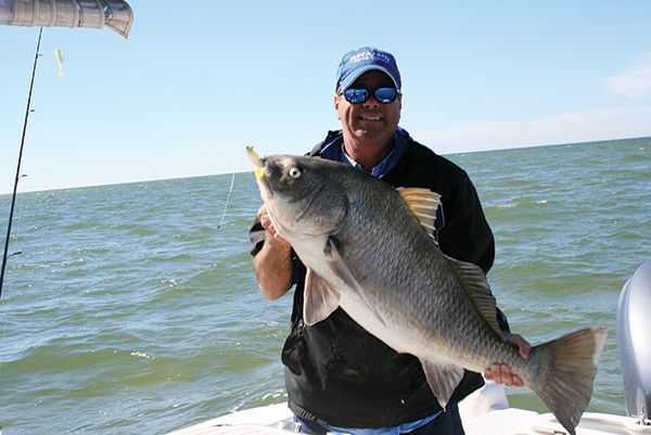 blackdrum