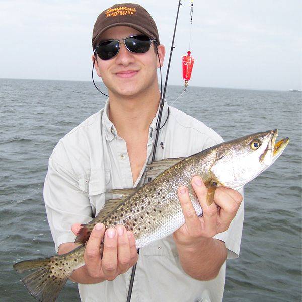 Michael Joseph of Valdosta, Ga. with a Great trout taken December 22nd 2013