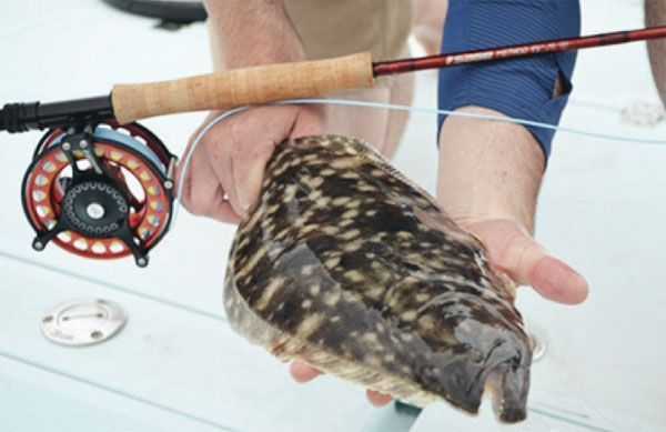 saltwater-fly-fishing-flounder