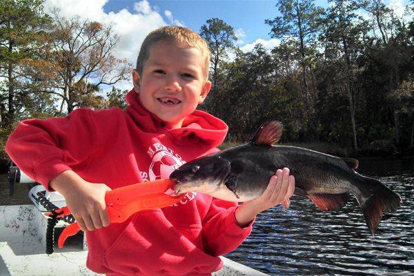 Jesse fishing with his dad caught this nice catfish fishing in the upper St. Marks River