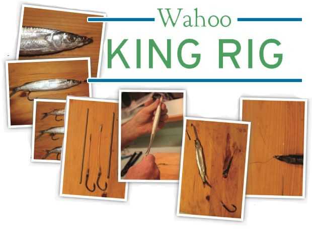 wahoo-king-rig