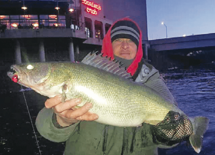 Shag Trent with a Grand River walleye