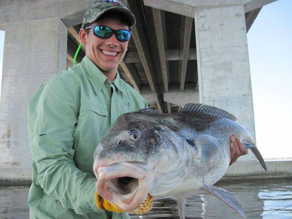 biloxi-fishing-report