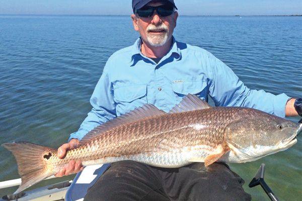 After Ted played this hefty redfish to the boat, it was quickly photographed and carefully released.