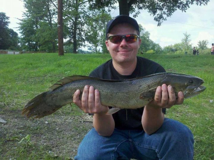 bowfin 720