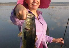 Lake Jackson Fishing Report