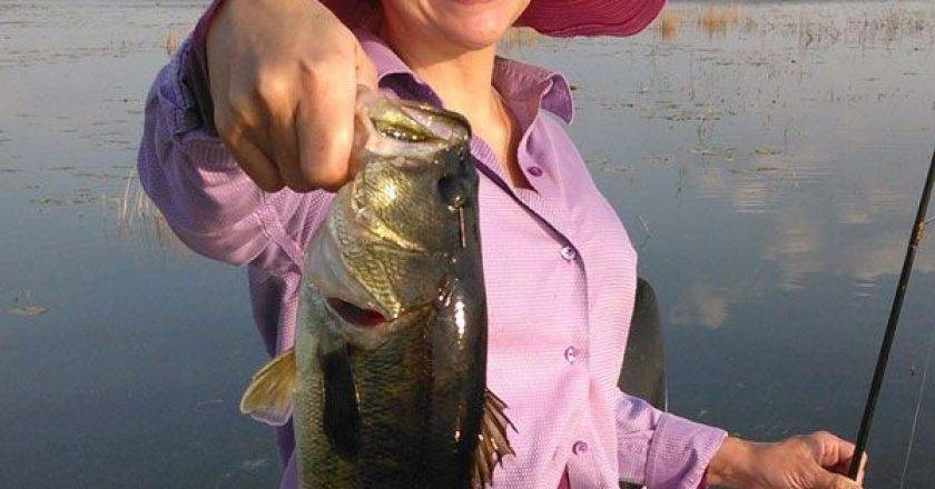 Lake Jackson Fishing Report