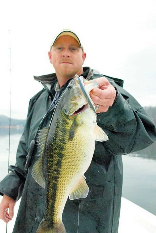 Bass Fishing the Spring Herring Spawn Coastal Angler & The Angler