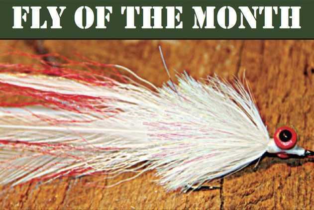 fly-of-the-month
