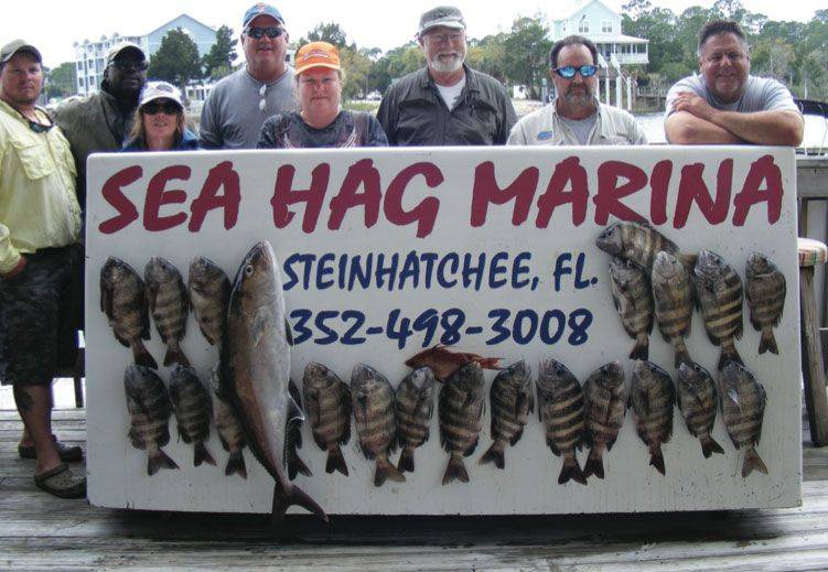 One of the best things about saltwater fishing, you never know who is going to show up for the festivities. March sheepshead fishing produced a rare catch of hogfish and amber jack, what a bonus! First Mate Garrett, Stan, DeDe, Carl, Jeff, Orville, Dave, Cari and Capt B.