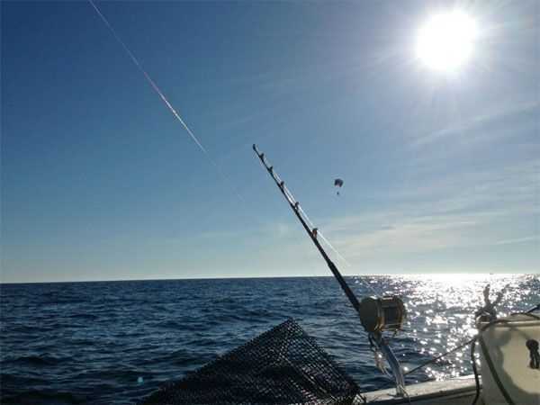 The Complete Guide to Kite Fishing