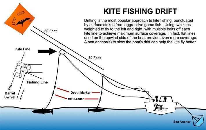 Learn more about Kite Fishing at West Marine.