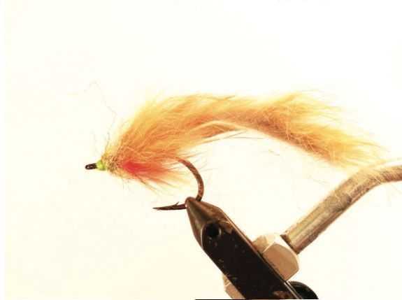 Palolo Worm Fly – patterns that work best for me are mostly light brown with a touch of red tones, and a head that is a mix of olive and chartreuse.