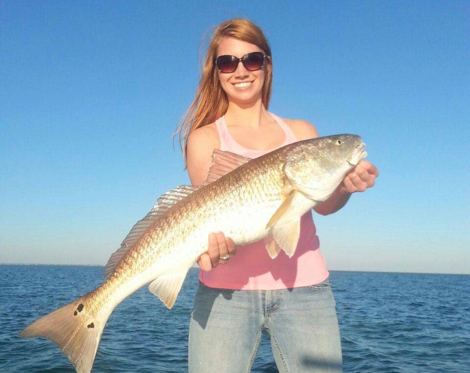St. Island/Carrabell/Alligator Point Fishing Report